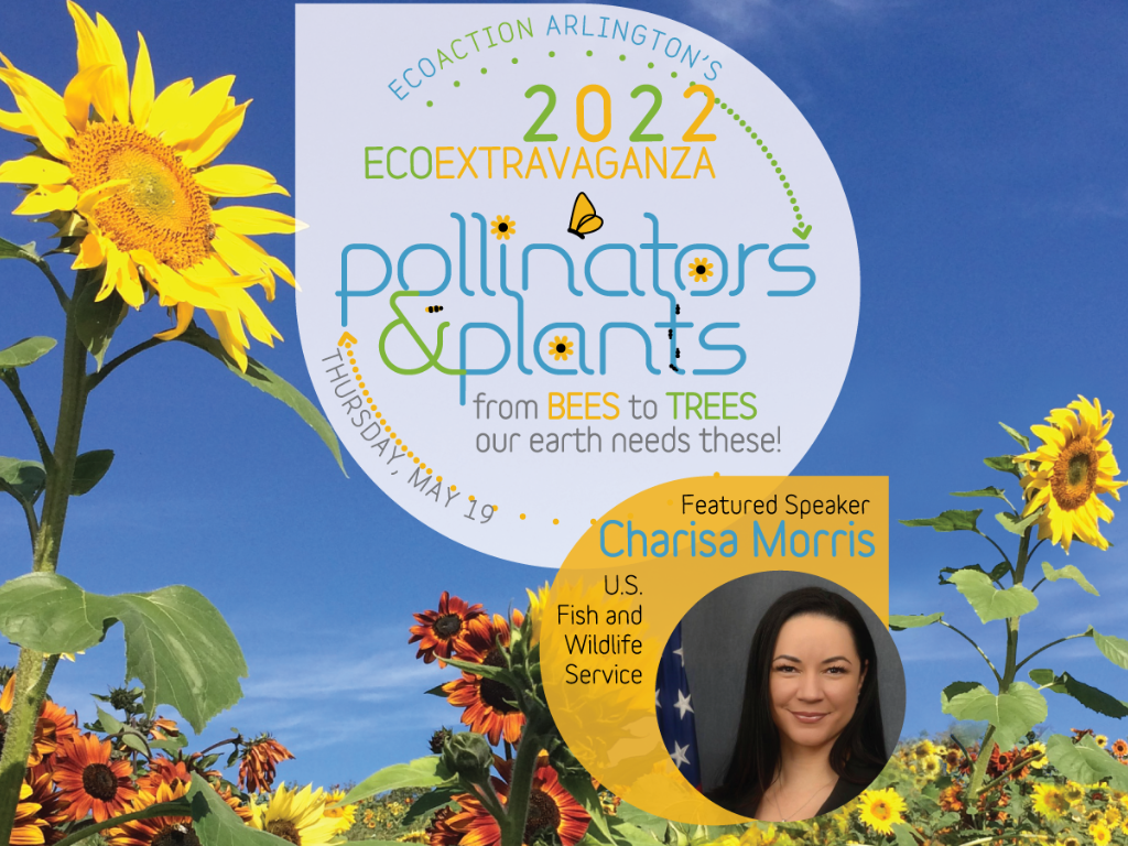 2022 EcoExtravaganza pollinators & plants