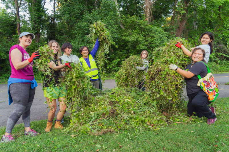 smiling volunteers in a park surrounded by trees and grass standing and kneeling in front of a high pile of invasives that have been pulled from the ground and happily gesturing toward it