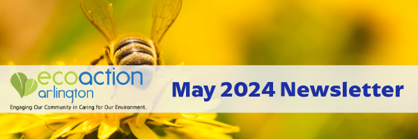 yellow background with image of yellow  bee on a yellow flower. 
EcoAction Arlington May 2024 Newsletter. Click to open.