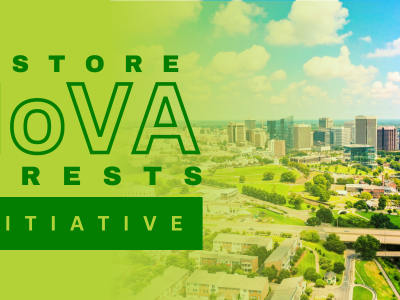 background image of an urban landscape with tall building,s highways, green spaces and trees, text on bright green overlay Restore NoVa Forests Initiative