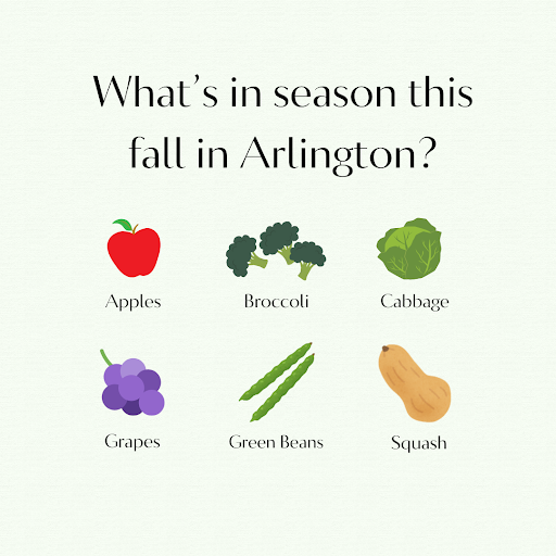 What's in season this fall in Arlington? apples, broccoli, cabbage. grapes, green beans, squash. Image courtesy of Molly Bolaan