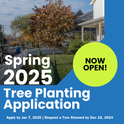 image with blue background the eave of a white house with trees with full canopy in the background, text in bright green circle on the right: Now Open!, text in white: Spring 2025 Tree Planting Application. Applu by January 7, 2025. Request a Tree Steward by December 15.